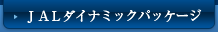 JAL_Ci~bNpbP[W