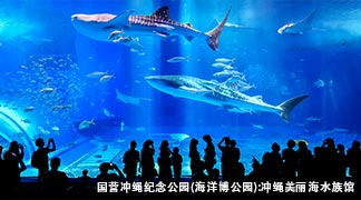 冲绳美之海水族馆