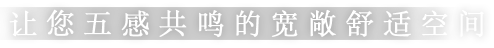 让您五感共鸣的宽敞舒适空间