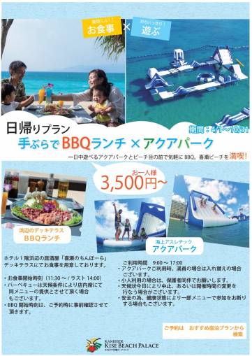 日帰りプラン