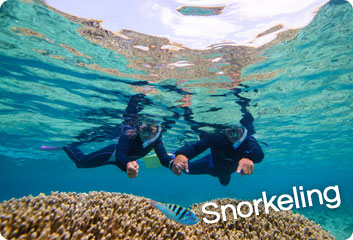 Snorkeling tour