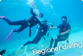 Beginner diving
