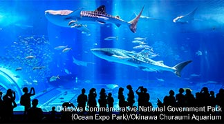 Okinawa Churaumi Aquarium