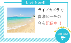 公式 かねひで喜瀬ビーチパレス 沖縄リゾートホテル 公式 かねひで喜瀬ビーチパレス 沖縄リゾートホテル