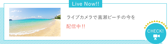 公式 かねひで喜瀬ビーチパレス 沖縄リゾートホテル 公式 かねひで喜瀬ビーチパレス 沖縄リゾートホテル