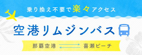 乗り換え不要で楽々アクセス 空港リムジンバス