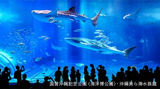 沖縄美ら海水族館