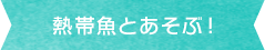 熱帯魚とあそぶ！