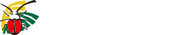 かねひで喜瀬ビーチパレス