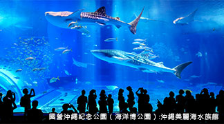 沖繩美麗海水族館